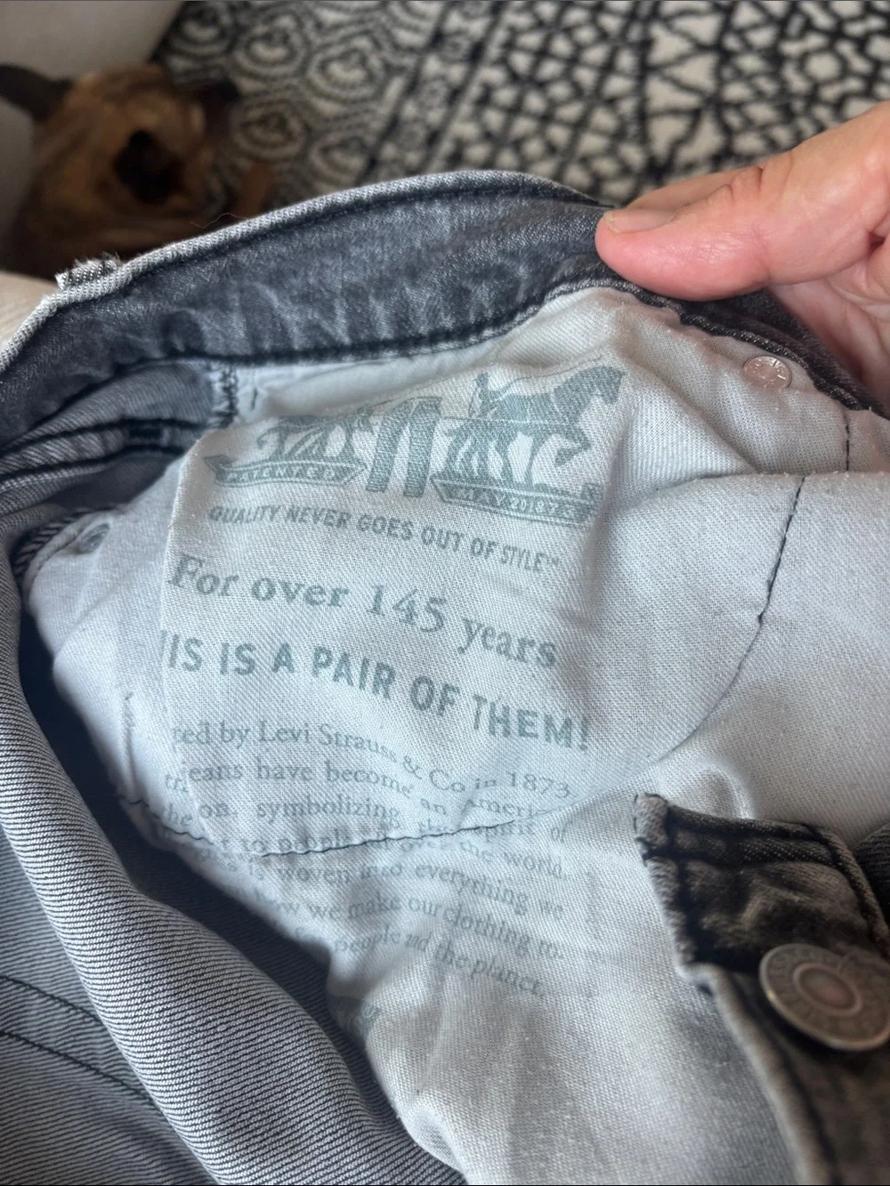 Levi's Men's Jeans in Faded Gray